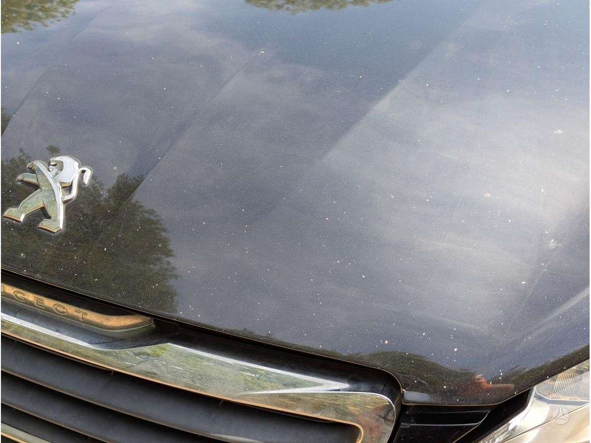 Peugeot 308 variklis