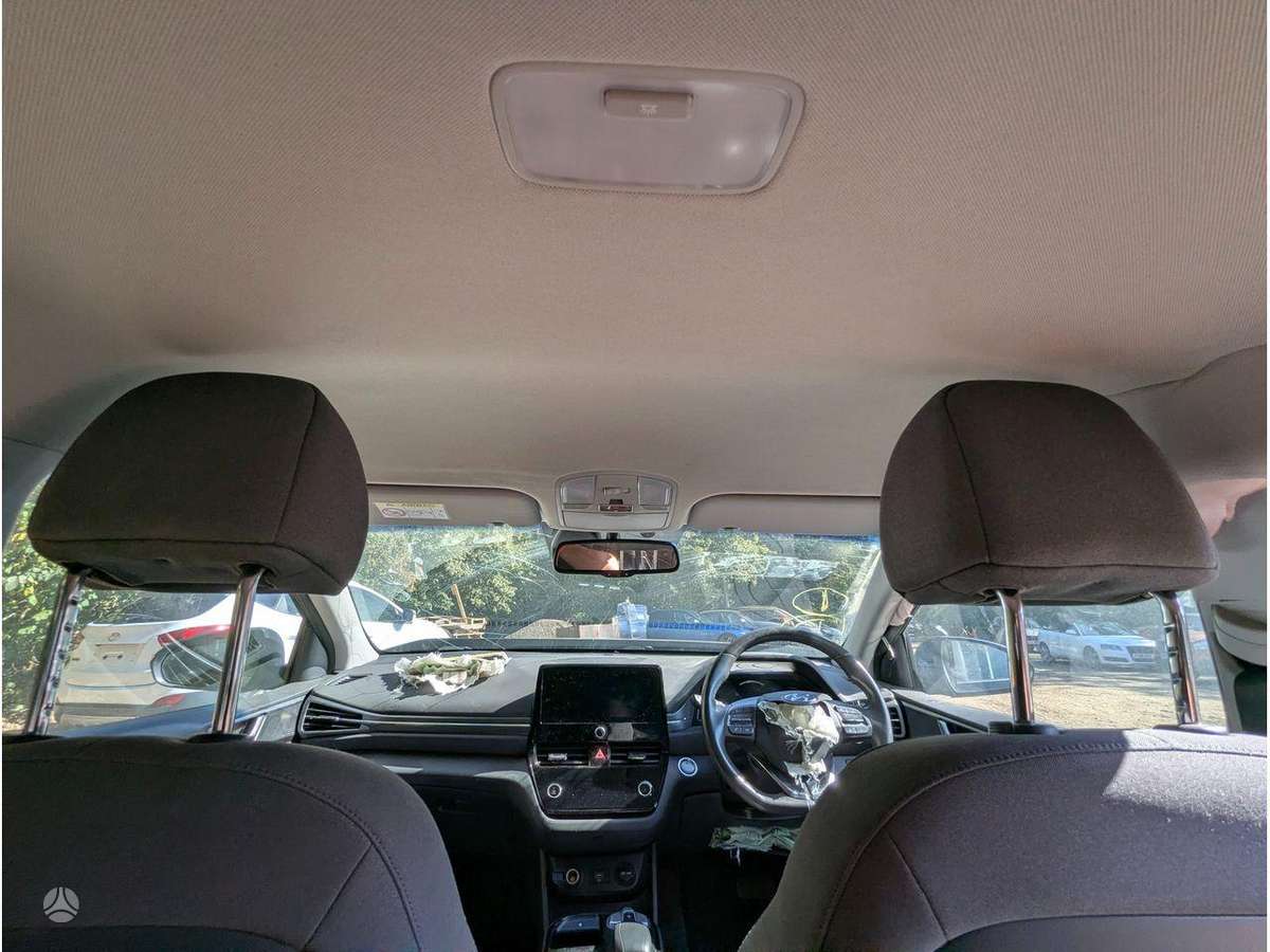Hyundai IONIQ variklis