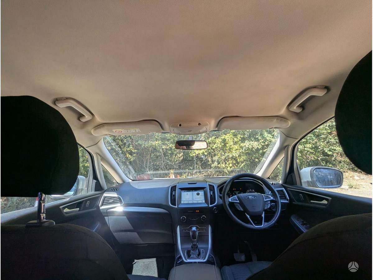 Ford S-MAX variklis