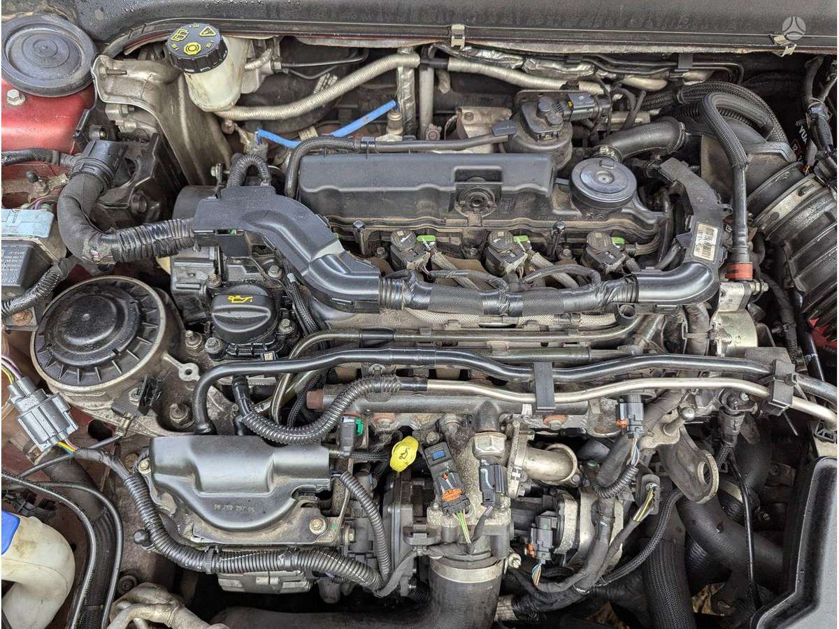 Ford Mondeo двигатель