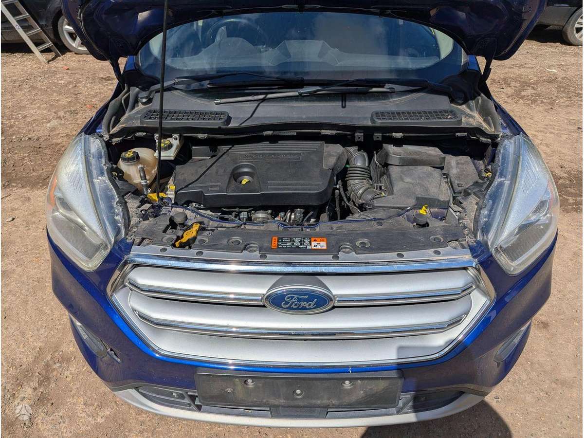 Ford Kuga variklis