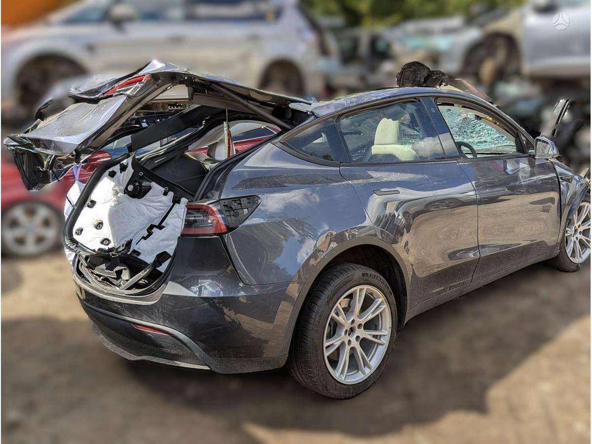 Tesla Model Y dzinējs