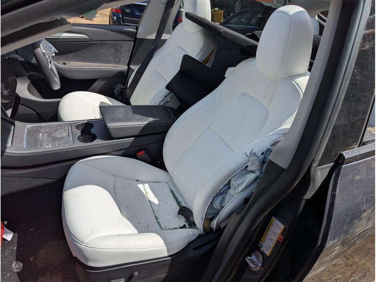 Tesla Model Y dzinējs