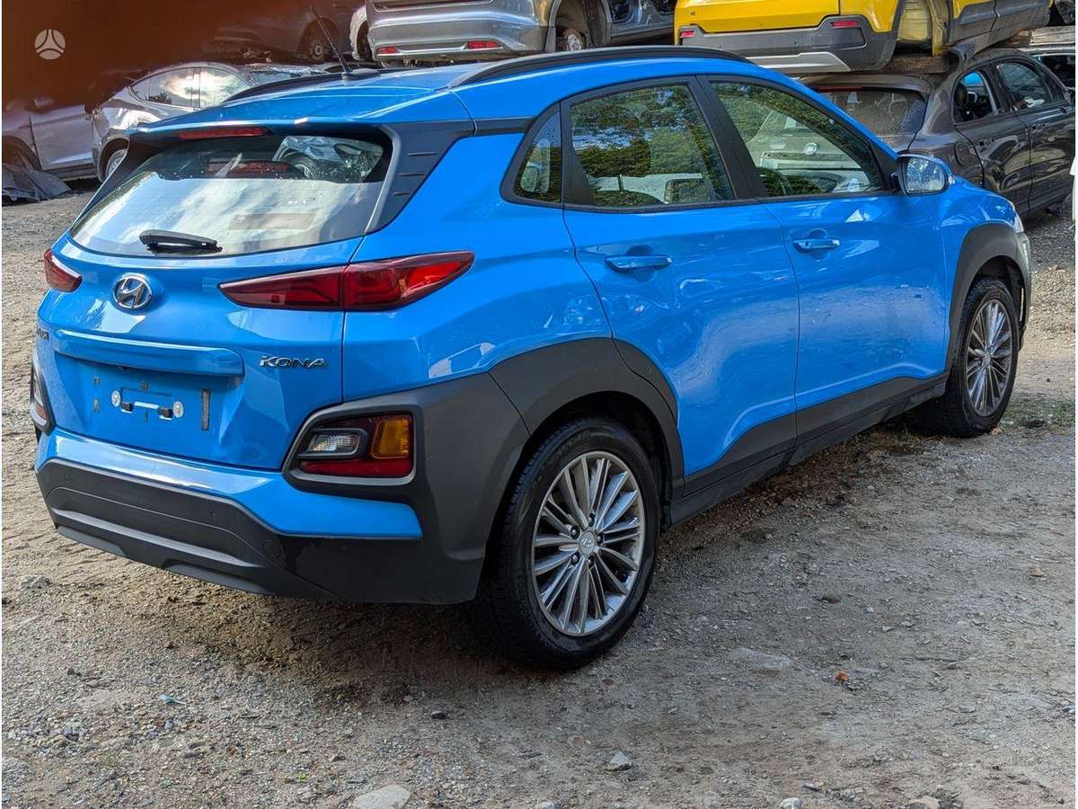 Hyundai Kona variklis