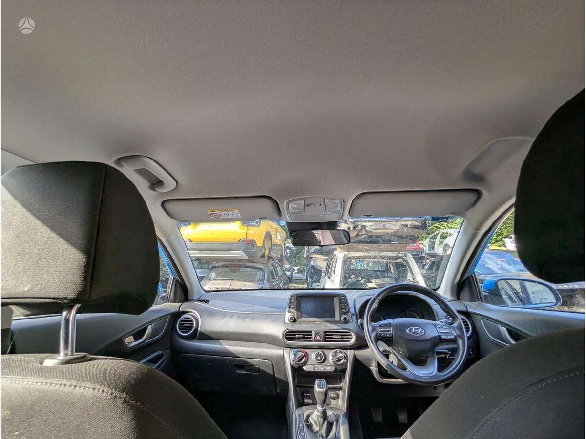 Hyundai Kona variklis