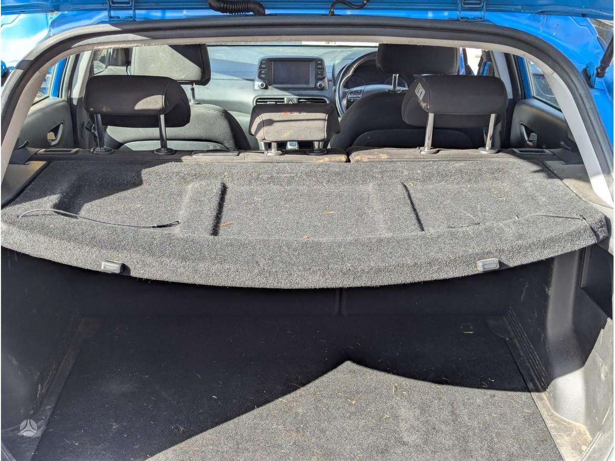 Hyundai Kona variklis