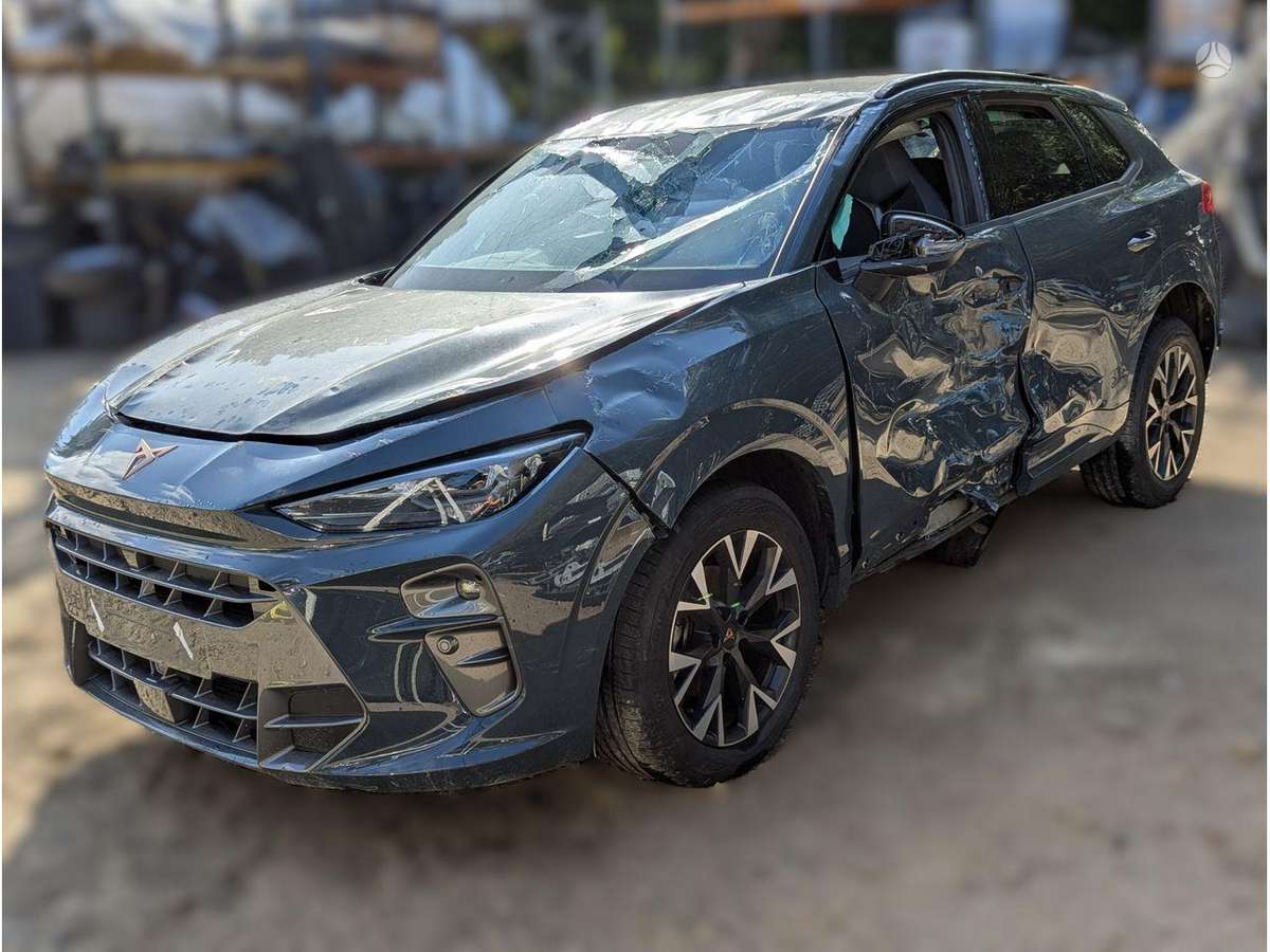 Cupra Terramar dzinējs