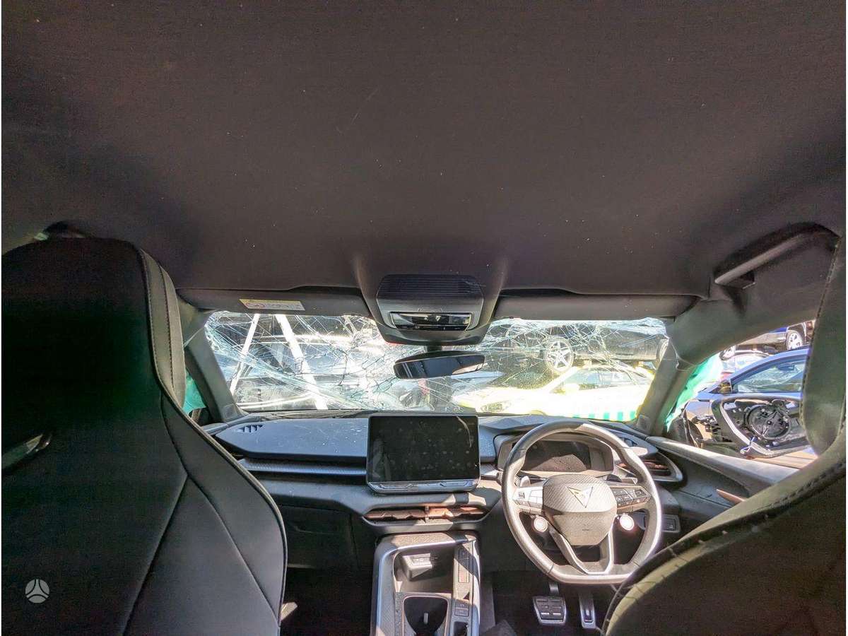 Cupra Terramar dzinējs