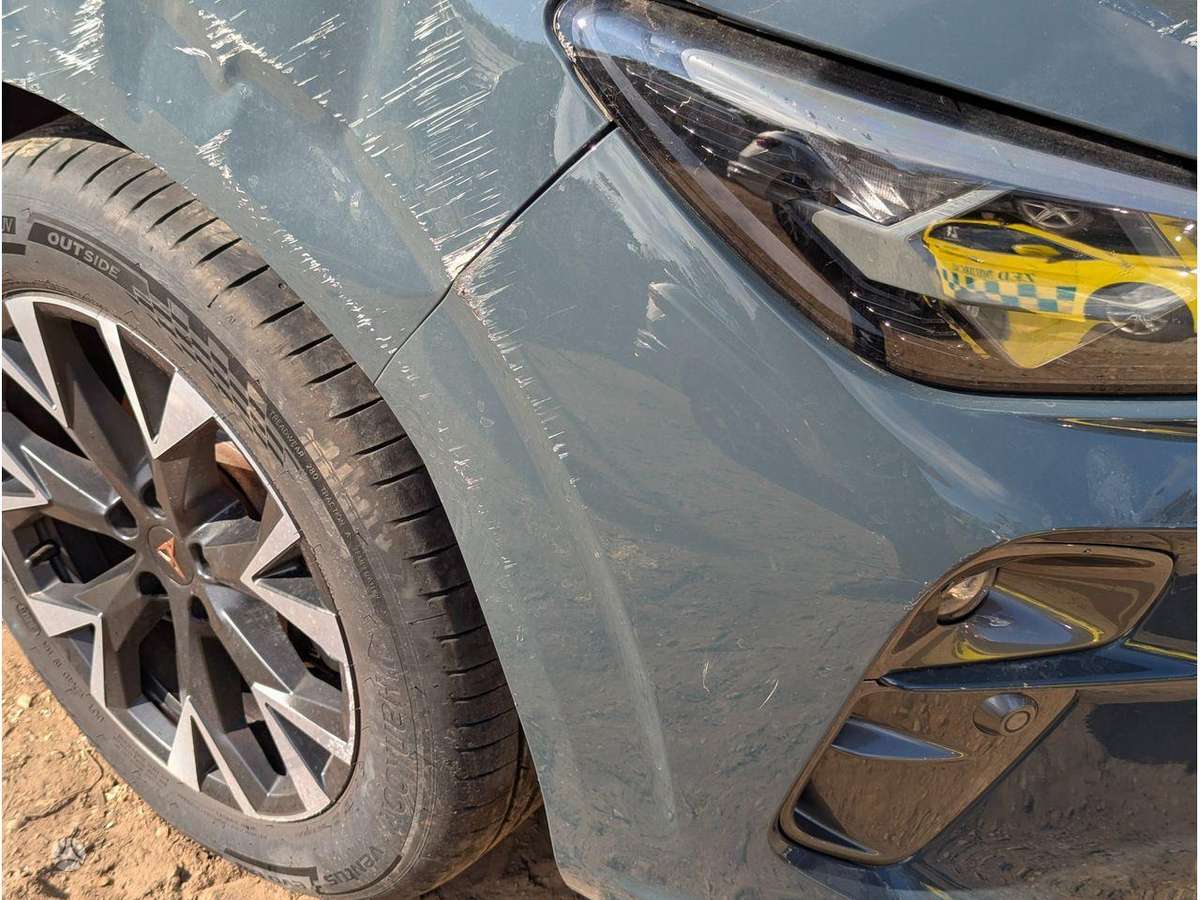 Cupra Terramar dzinējs