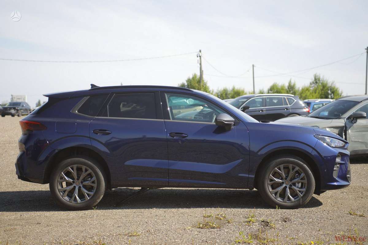 Cupra Terramar, 2.0 l., Хэтчбек