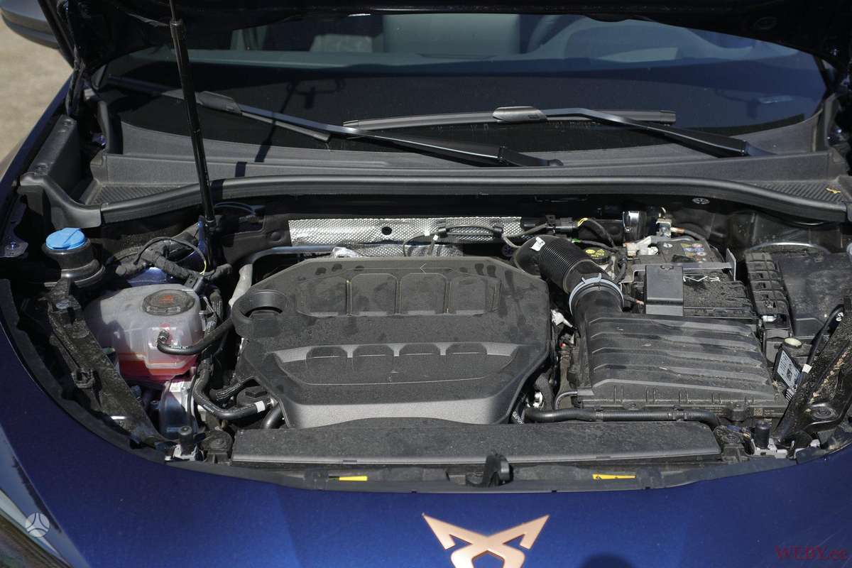 Cupra Terramar, 2.0 l., Хэтчбек