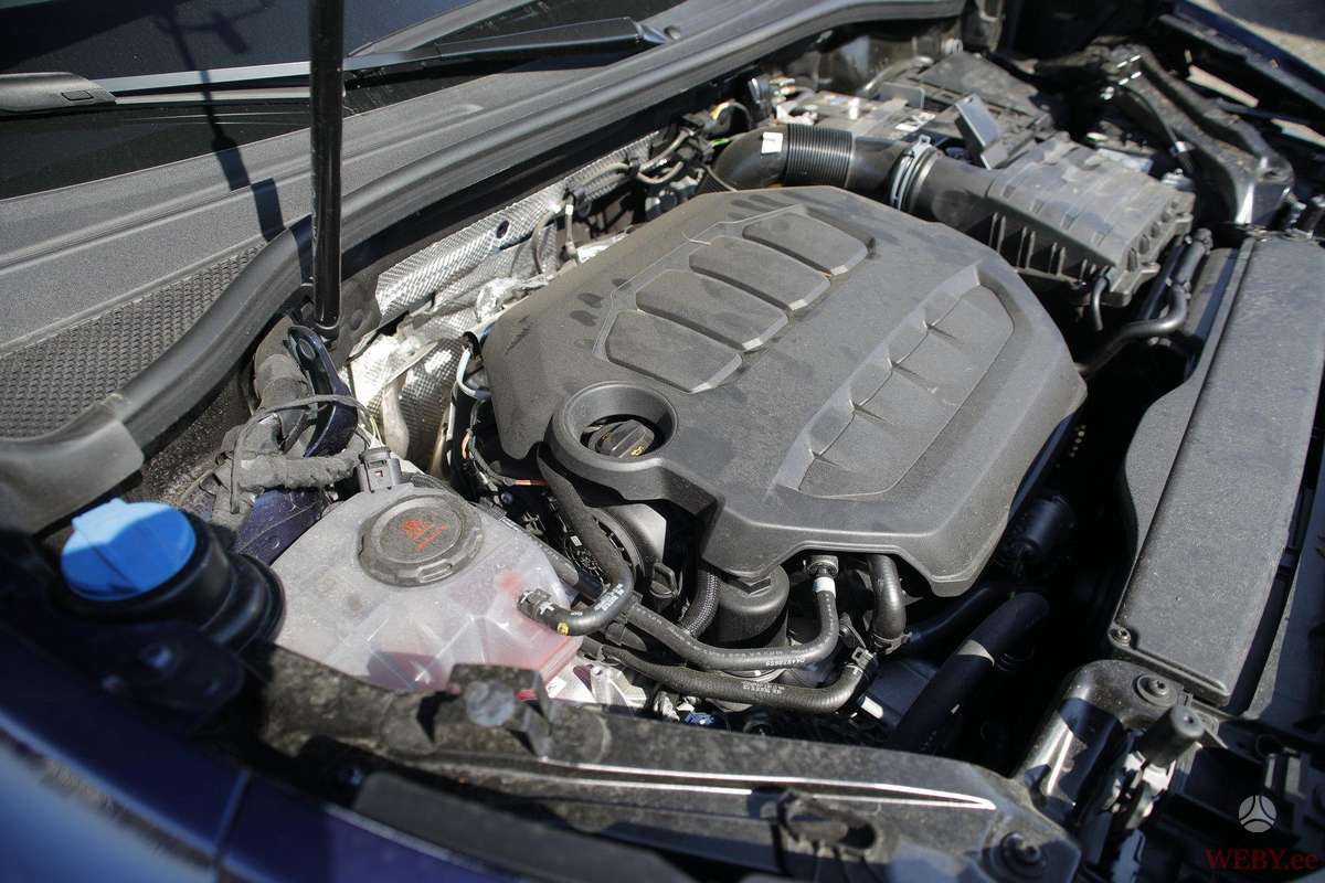 Cupra Terramar, 2.0 l., Хэтчбек