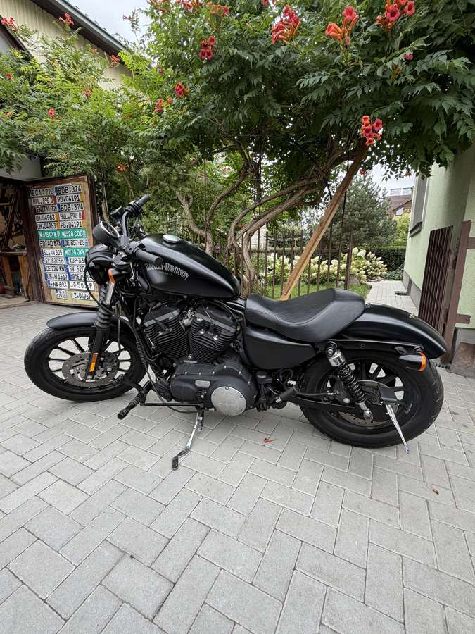 Harley-Davidson XL 883cc, чопперы / круизеры / custom