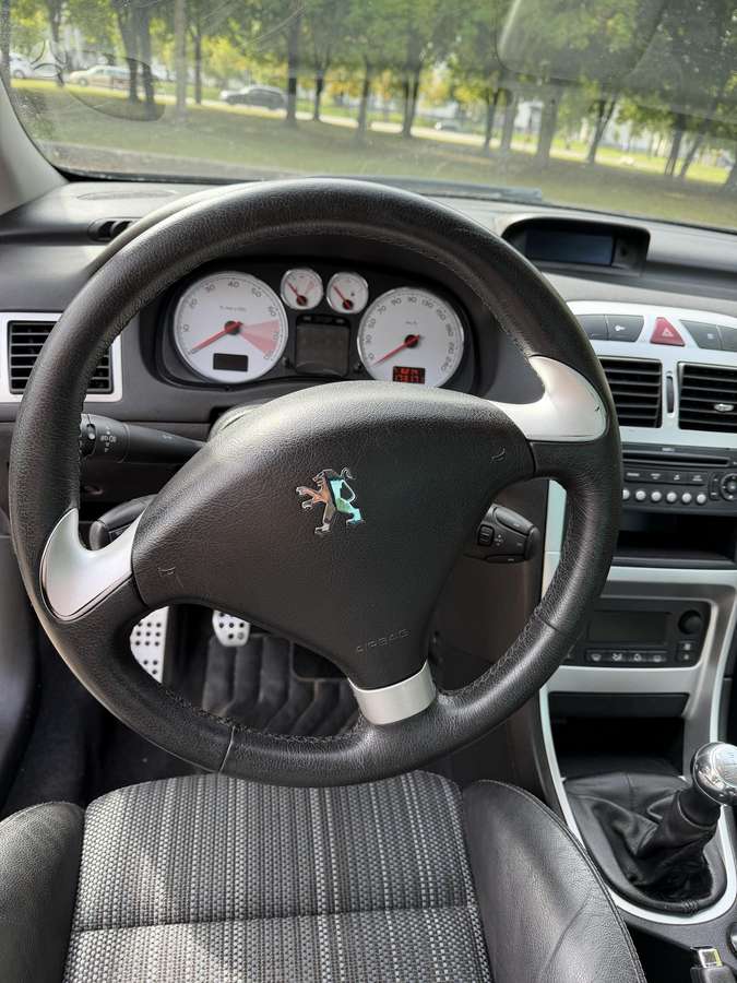 Peugeot 307 - 8