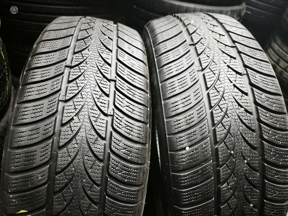 Triangle WinterX TW401, winter 205/55 R17