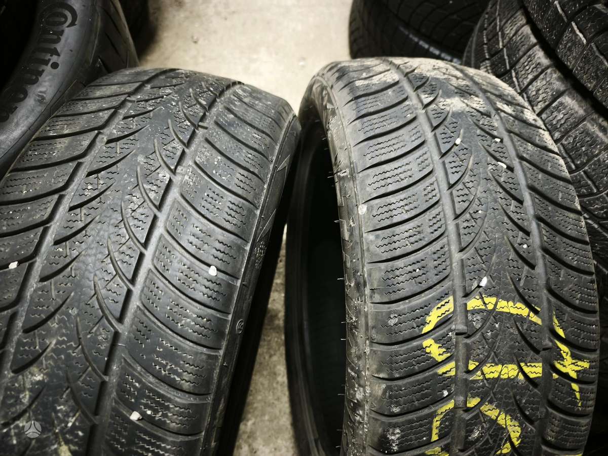 Triangle WinterX, žieminės 205/55 R17