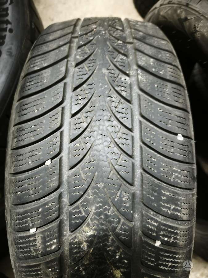 Triangle WinterX, žieminės 205/55 R17