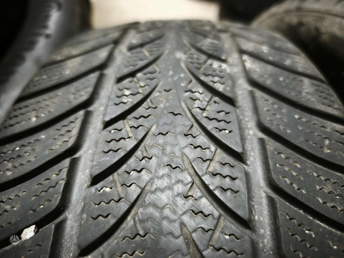 Triangle WinterX, žieminės 205/55 R17