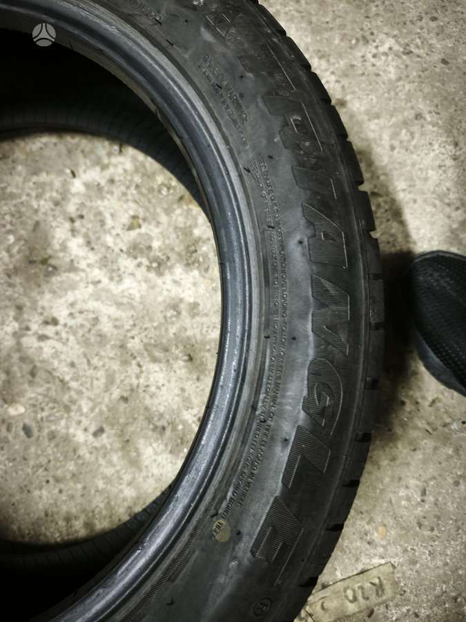 Triangle WinterX, žieminės 205/55 R17