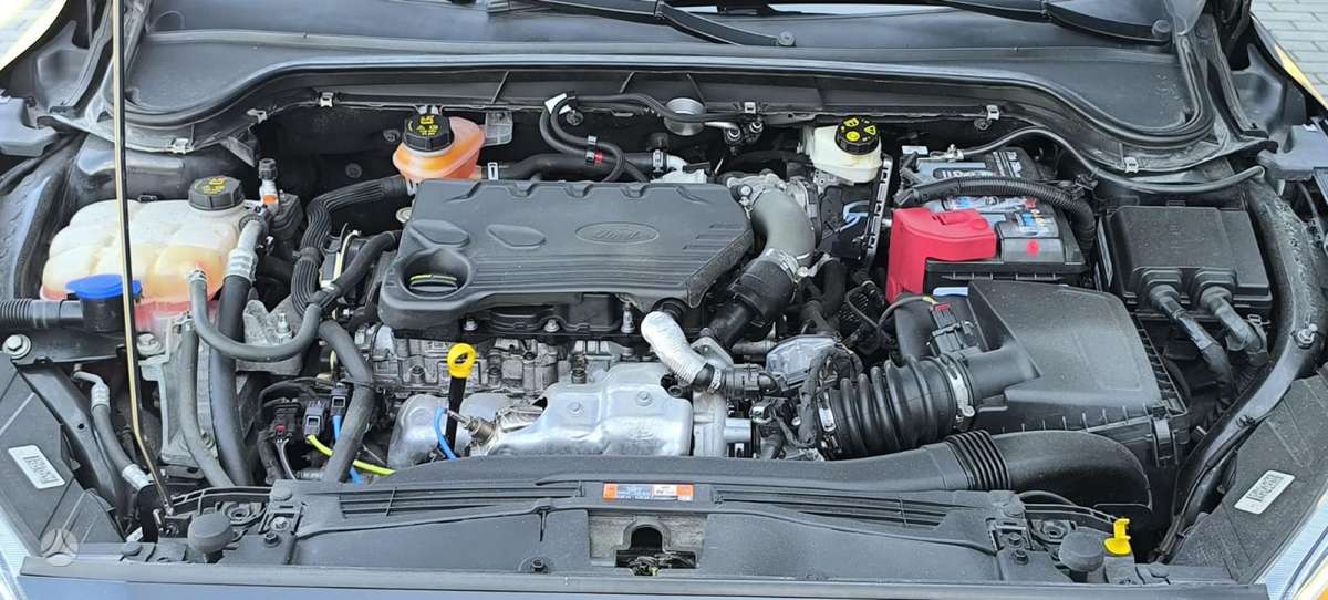 Ford Focus, 1.5 l., Хэтчбек