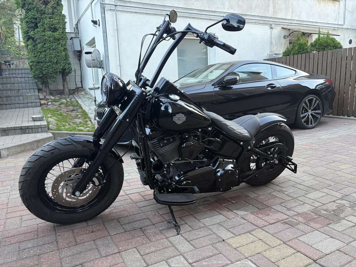 Harley-Davidson FLSTC 1584cc, чопперы / круизеры / custom