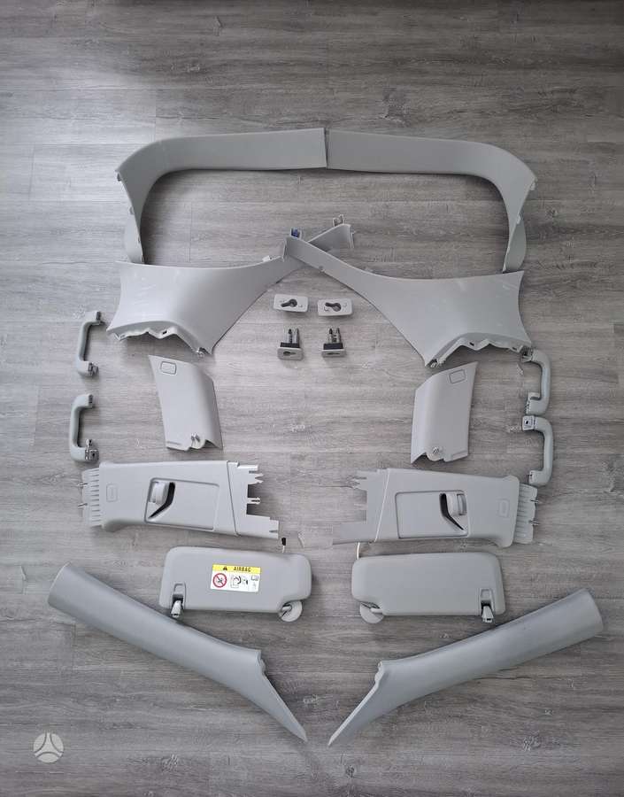 Opel Insignia stogo apmušalai