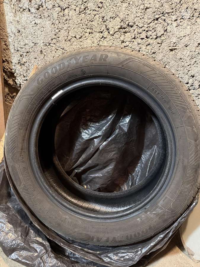 Goodyear Efficientgrip Performance 2, summer 205/55 R16