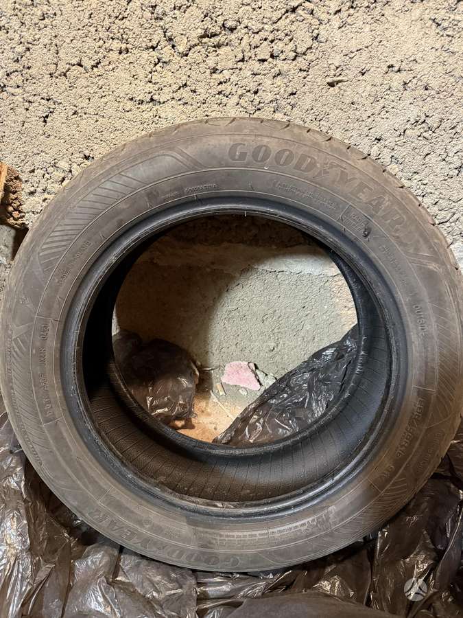 Goodyear Efficientgrip Performance 2, vasarinės 205/55 R16