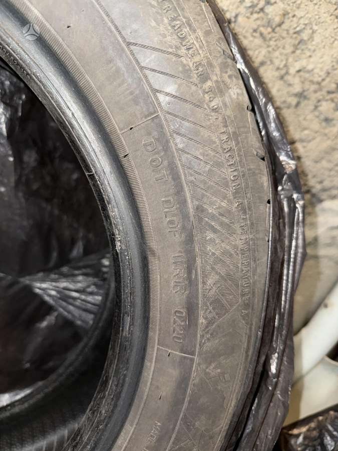 Goodyear Efficientgrip Performance 2, летние 205/55 R16
