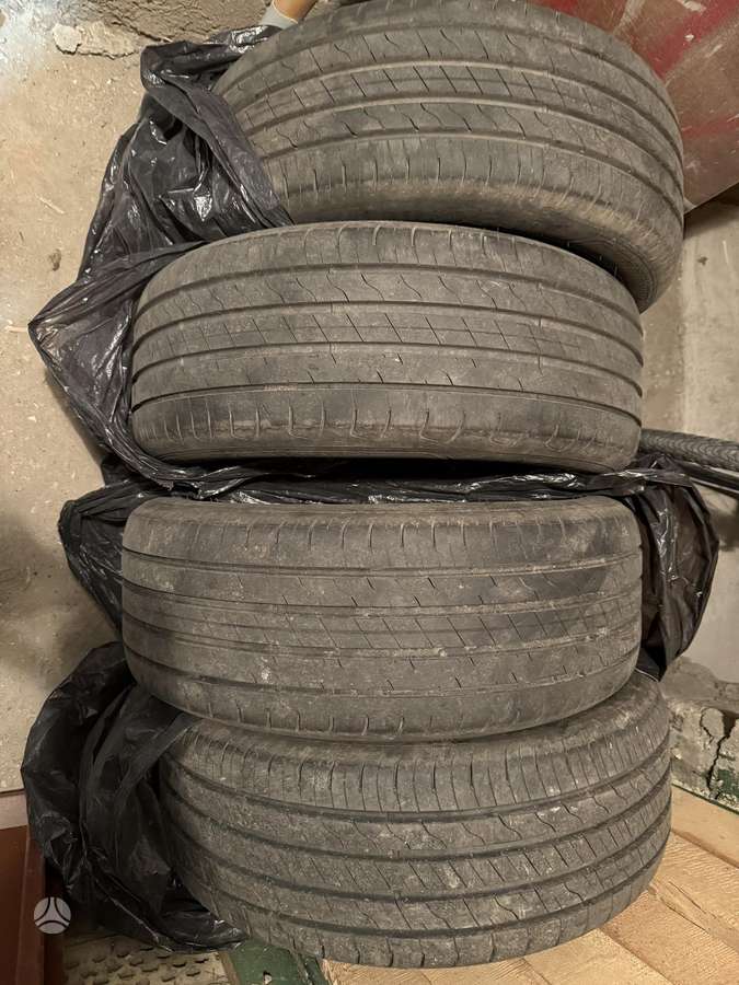 Goodyear Efficientgrip Performance 2, летние 205/55 R16