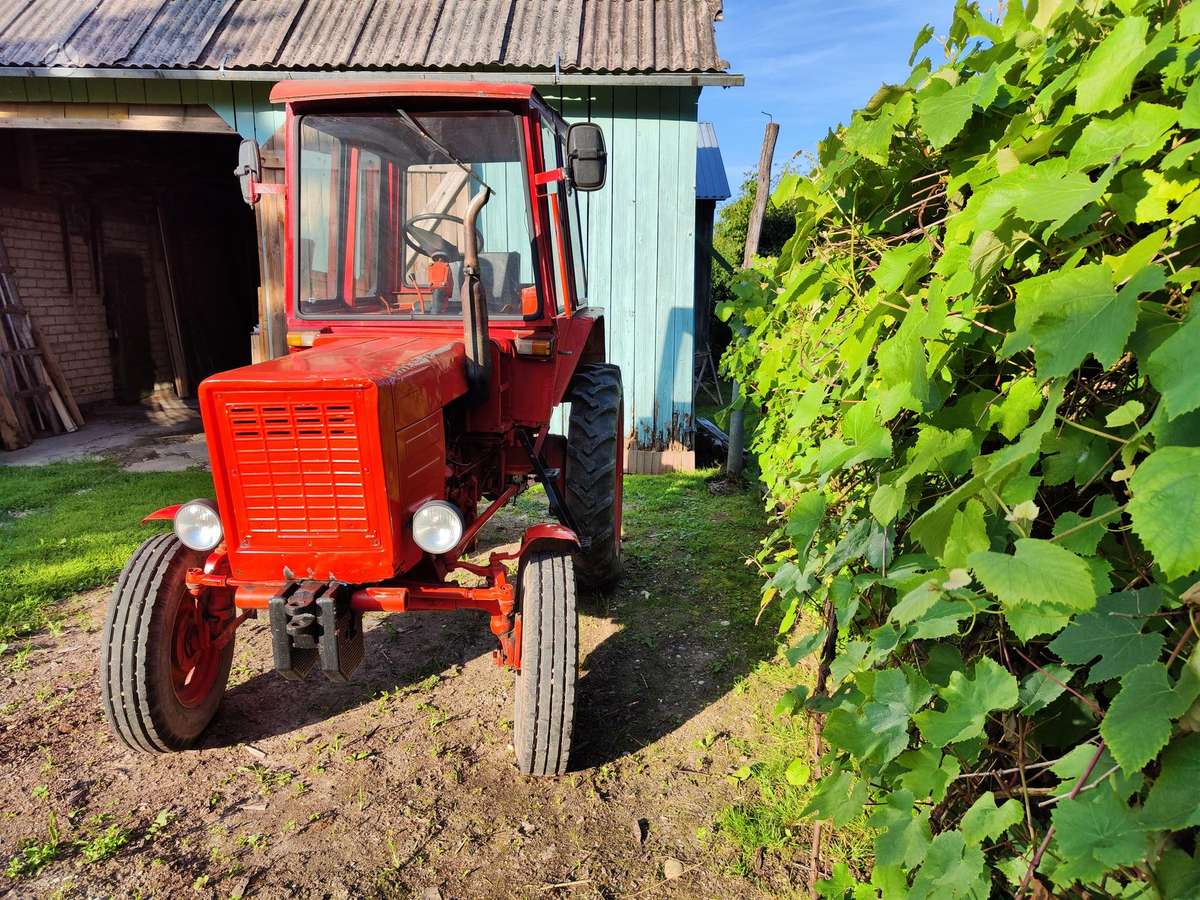 MTZ T25, тракторы