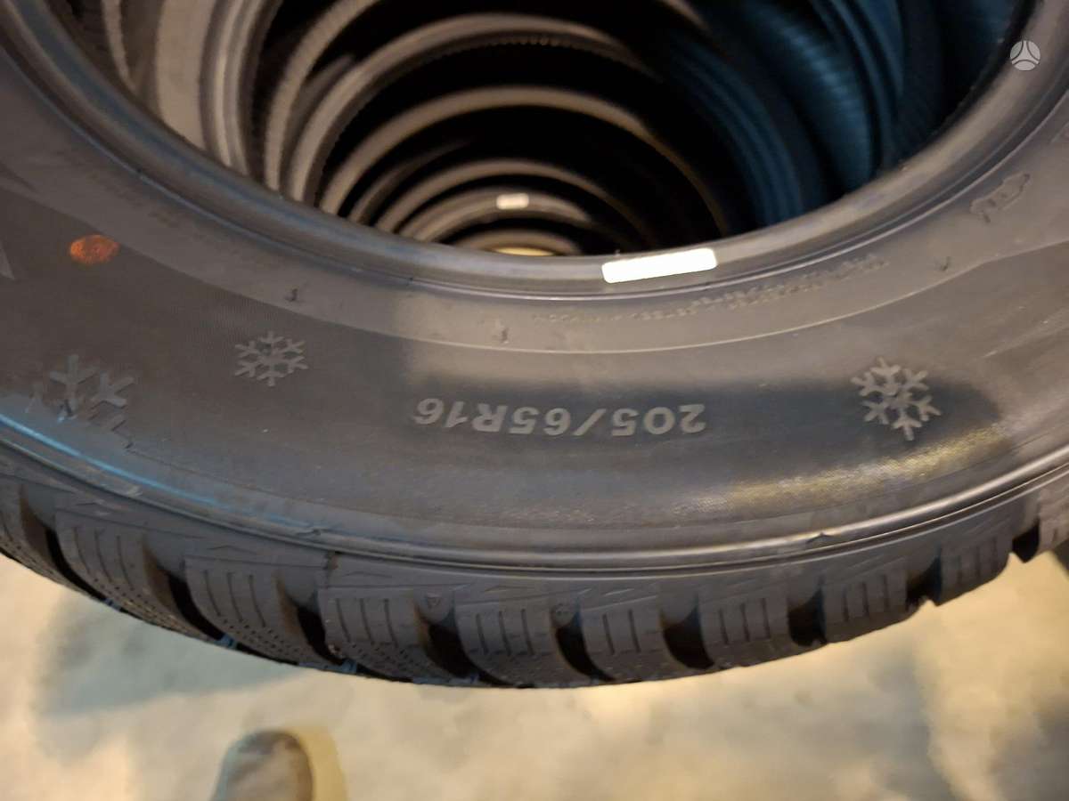 Sailun Alpine Evo 2, winter 205/65 R15