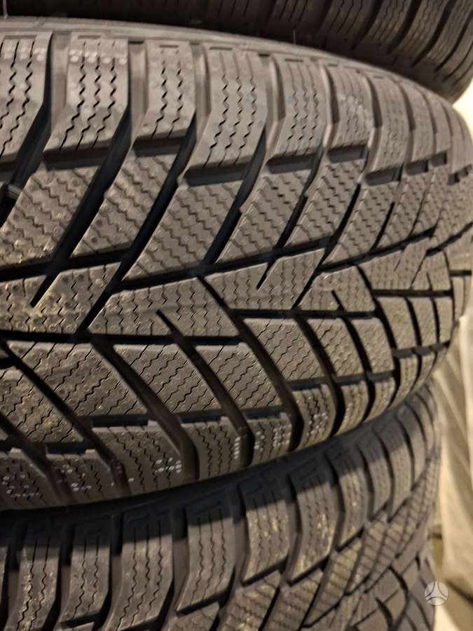 Sailun ALPINE EVO 2, winter 225/60 R17