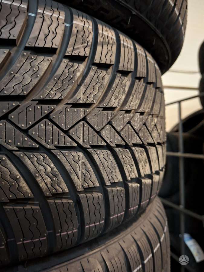 Triangle TW421, winter 255/50 R19