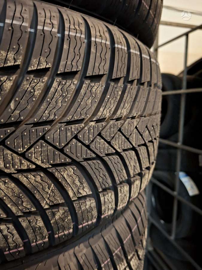 Triangle TW421, зимние 255/50 R19