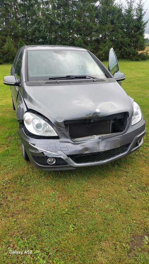 Mercedes-Benz B170 dalimis