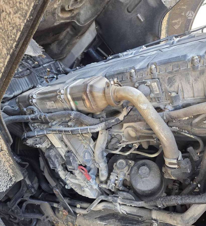 MAN TGX 18.520, тягачи