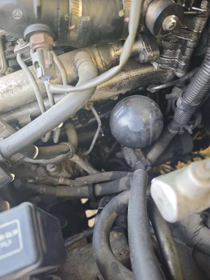 Toyota Land Cruiser - 2