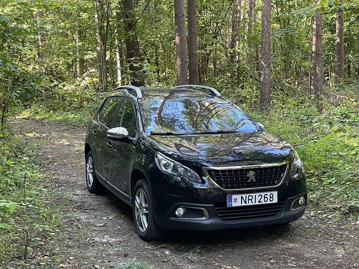 Peugeot 2008 - 1