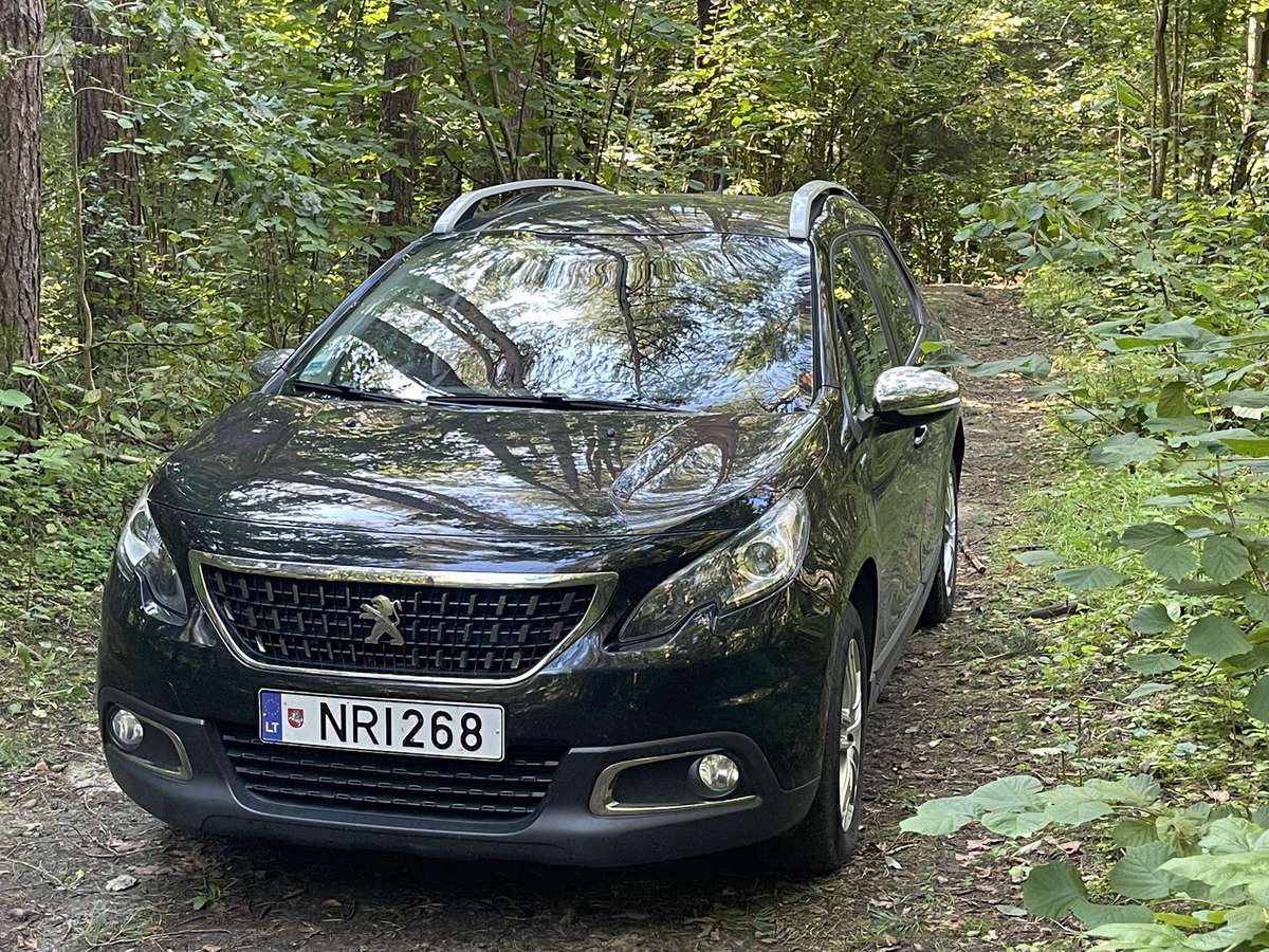 Peugeot 2008 - 2