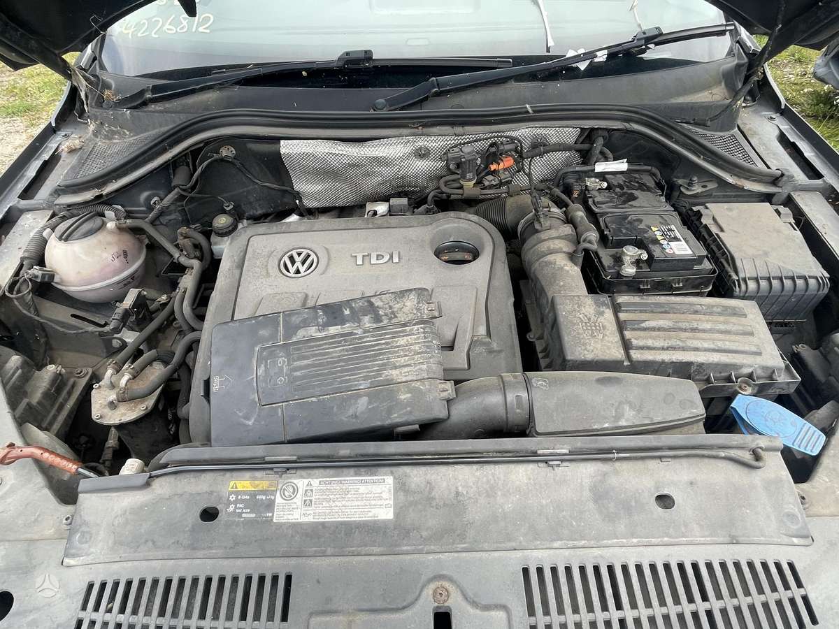 Volkswagen Tiguan dalimis