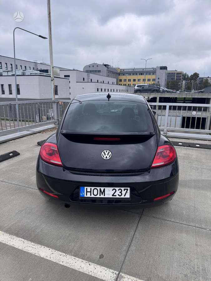 Volkswagen Beetle - 8