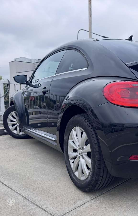 Volkswagen Beetle - 10