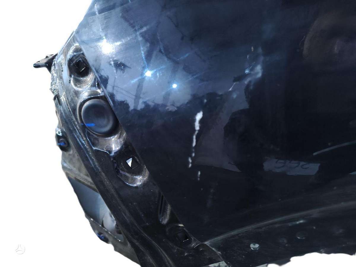 BYD Dolphin Surf hood (front, rear)