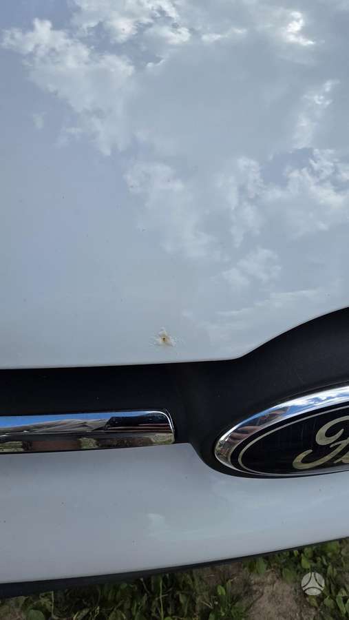 Ford Focus, 2.0 l., Хэтчбек
