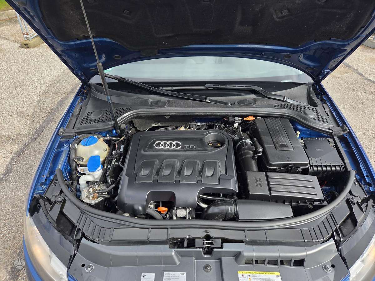 Audi A3, 2.0 l., hečbekas
