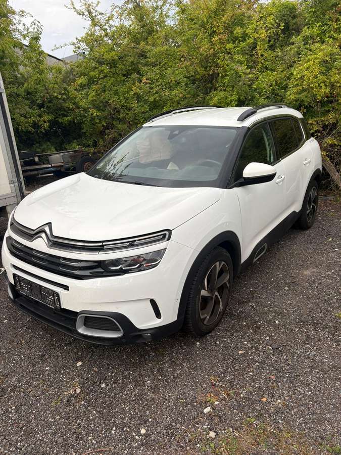 Citroen C5 Aircross dalimis. Dalimis dažų kodas ewp