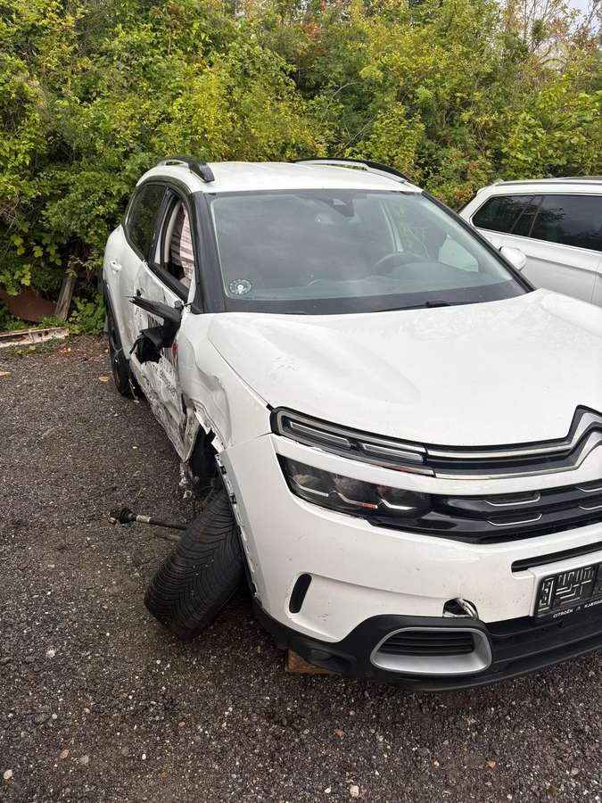 Citroen C5 Aircross dalimis. Dalimis dažų kodas ewp