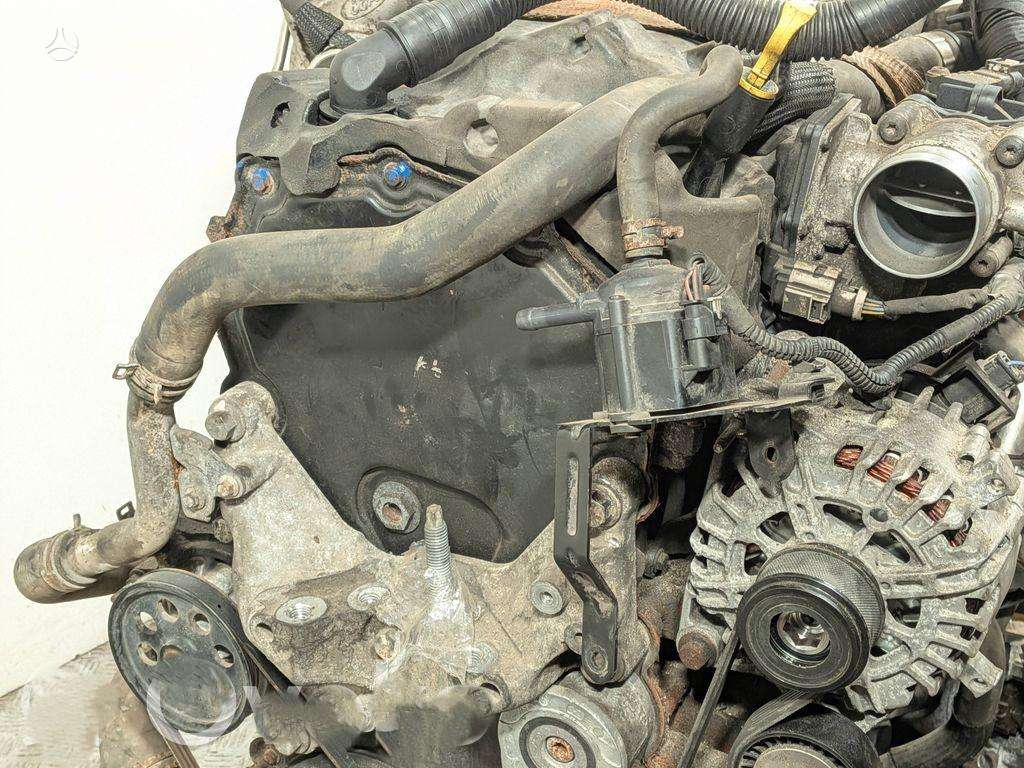 Ford Transit, YMF6, variklis