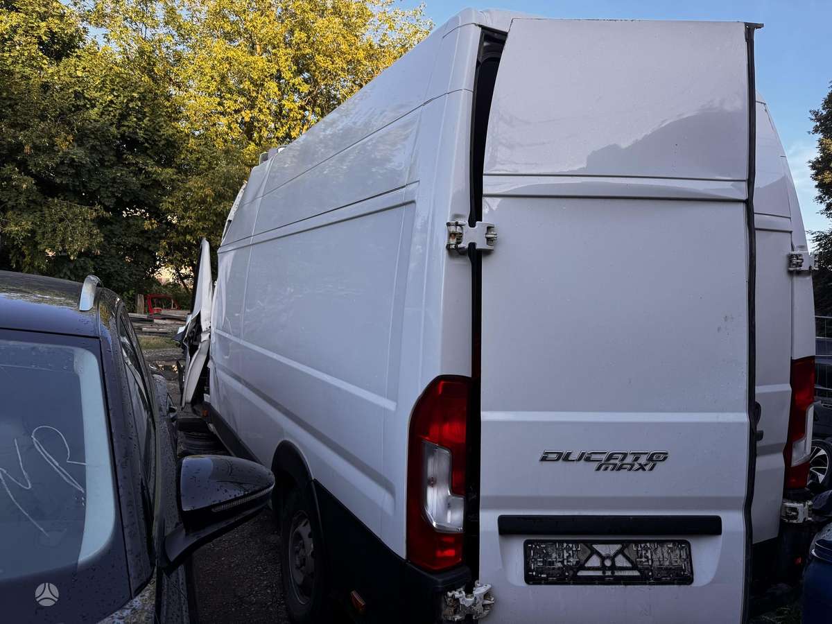 Fiat Ducato maxi, krovininiai mikroautobusai